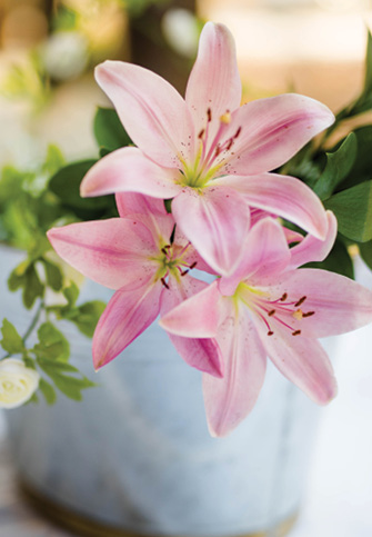 3 pink tiger lilies in a vase with green foliage