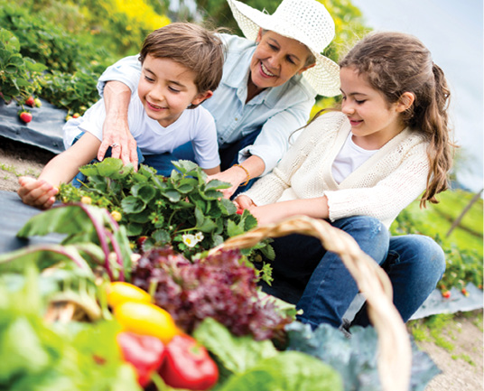 grandmother gardening with grandkids