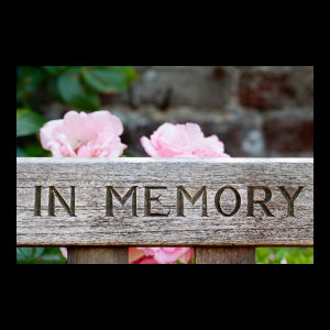 in memory sign with pink flowers in background